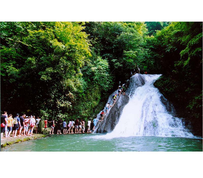 ����|����|�Ŷ��ٲ�