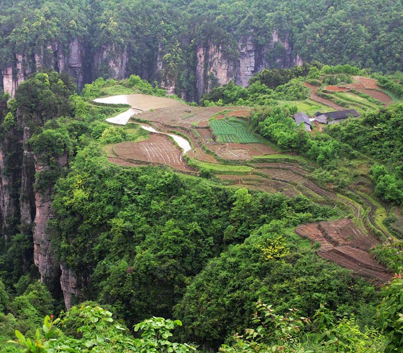 ����|����ɽ|������԰